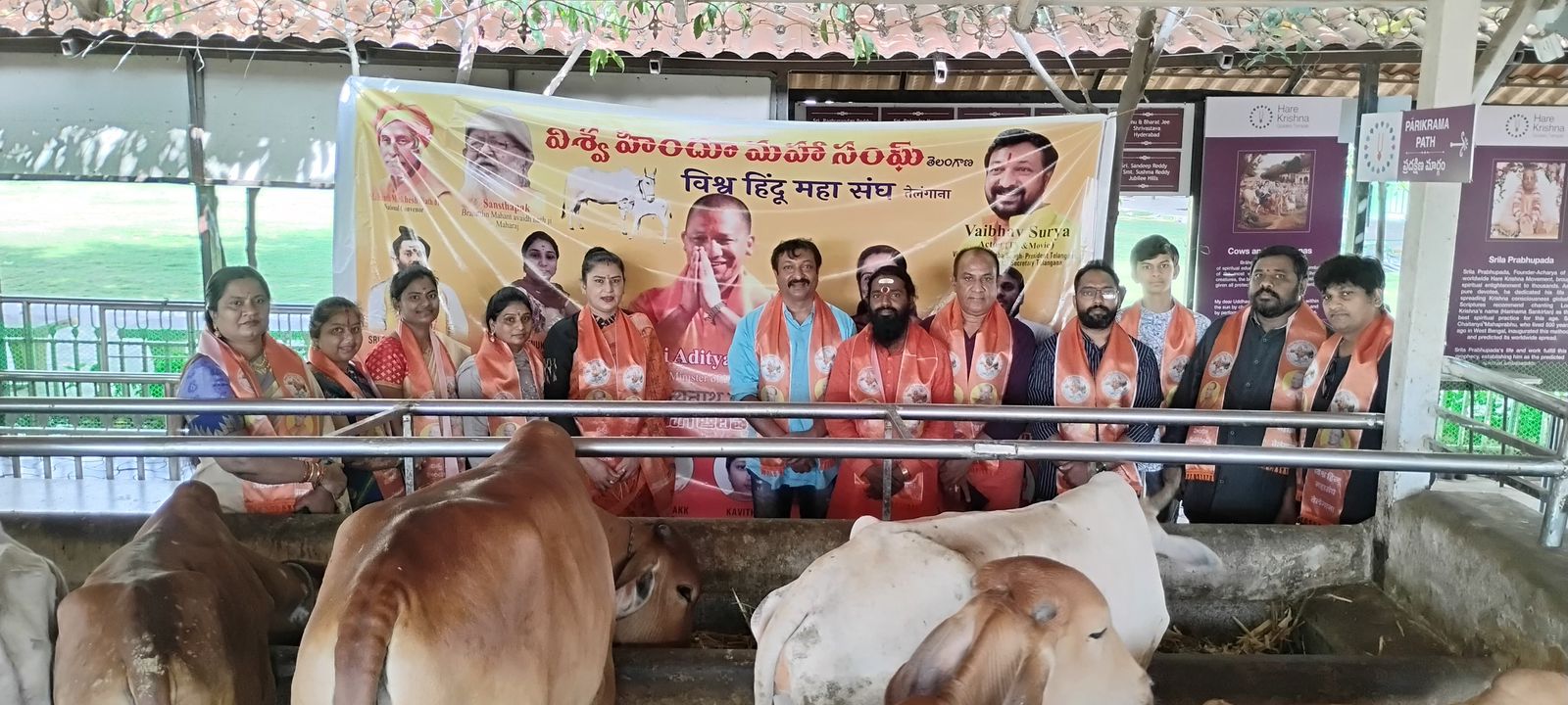 Cows resting at the Gaumata Seva Trust sanctuary